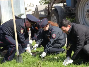 «Сад памяти» - благодарность героям